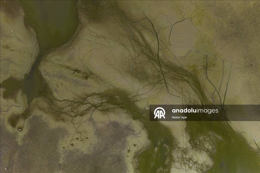 Kuraklığın etkisi artıyor! En büyük tatlı su gölü için alarm verildi: Su seviyesi düştü, balıklar telef oldu 10